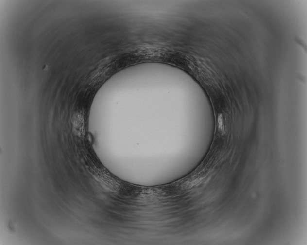 X0000096681203200802191345