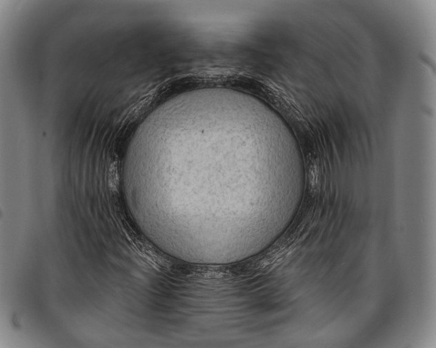 X0000096681204200802191345