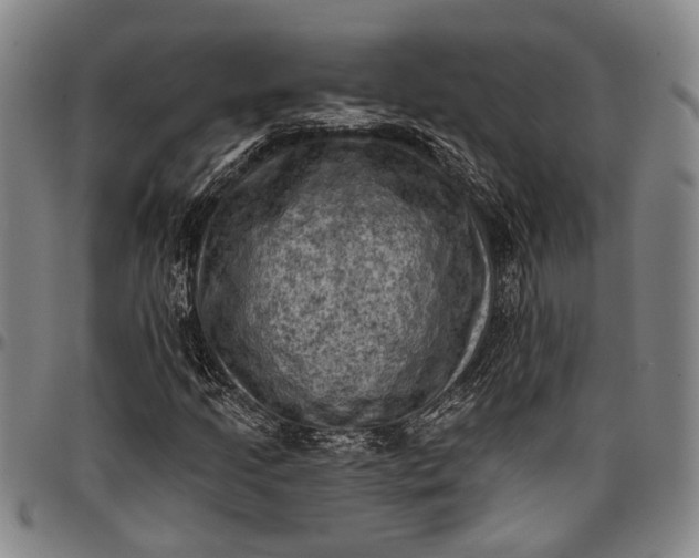 X0000096681205200802191345