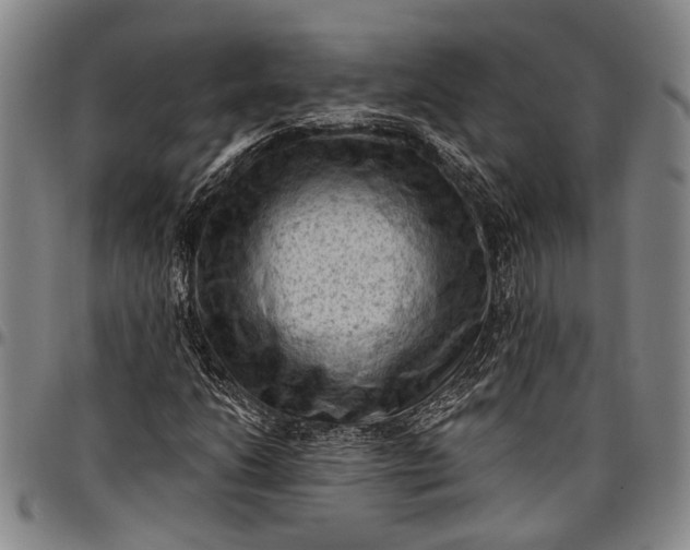 X0000096681206200802191345