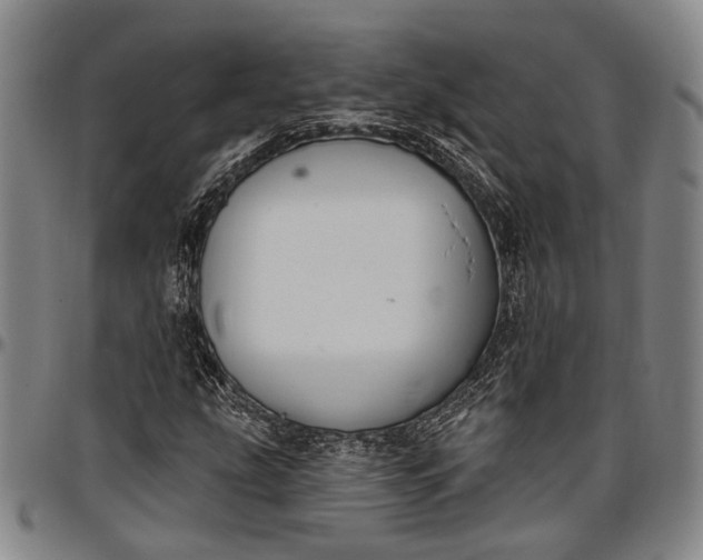 X0000096681207200802191345