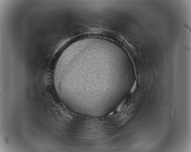 X0000096681208200802191345
