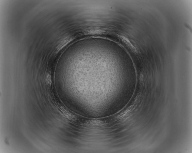 X0000096681209200802191345