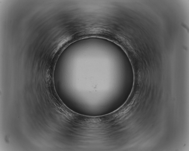 X0000096681210200802191345