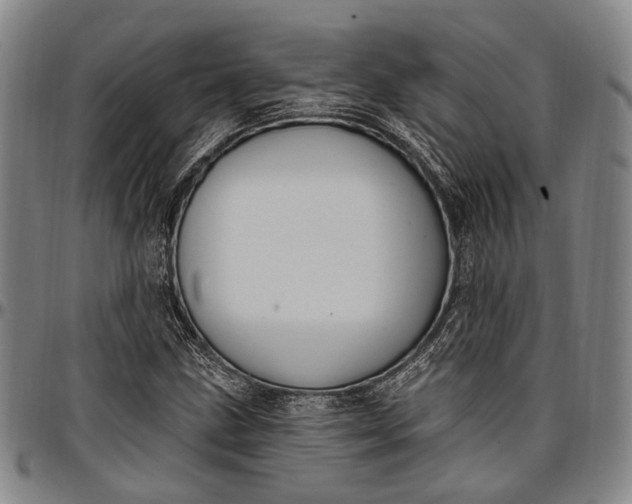 X0000096681211200802191345