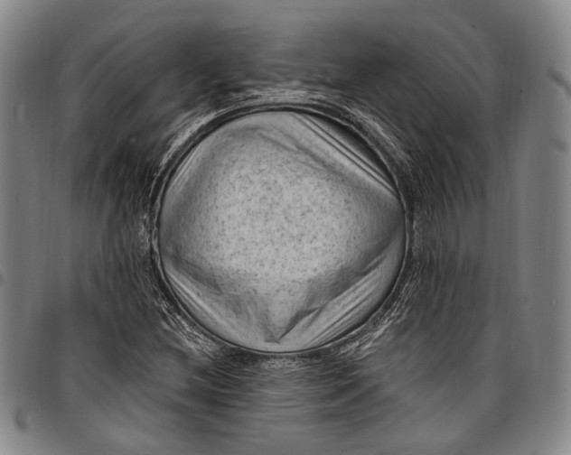 X0000096681212200802191345