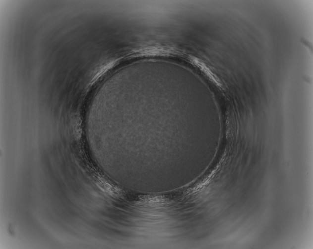X0000096681213200802191345