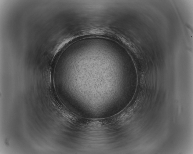 X0000096681214200802191345