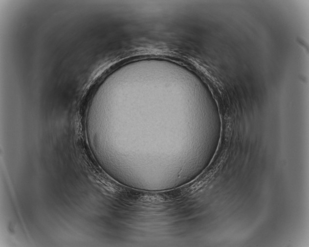 X0000096681215200802191345