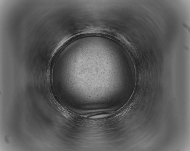 X0000096681216200802191345
