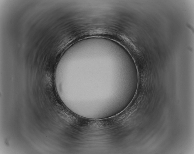 X0000096681217200802191345