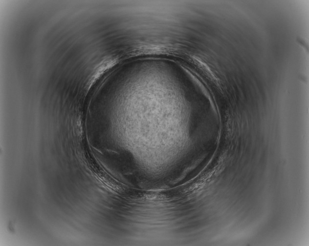 X0000096681218200802191345
