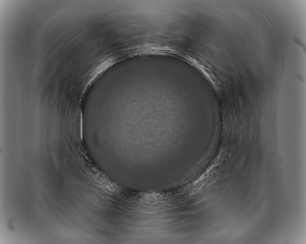 X0000096681219200802191345