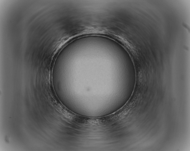 X0000096681220200802191345