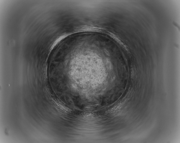 X0000096681222200802191345