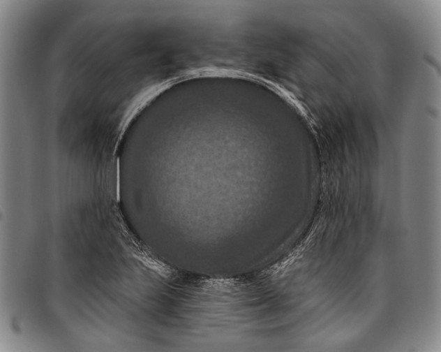 X0000096681223200802191345