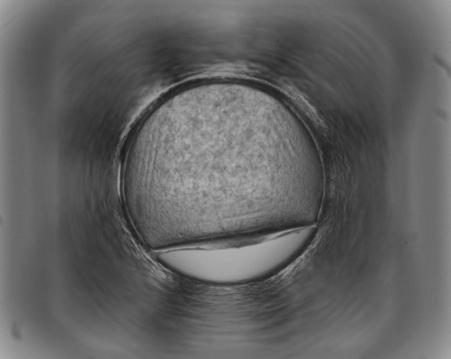 X0000096681224200802191345