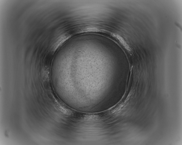 X0000096681225200802191345
