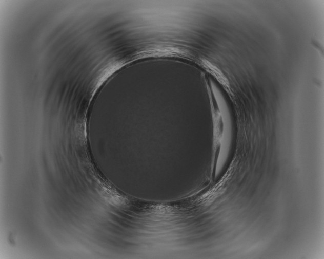 X0000096681226200802191345