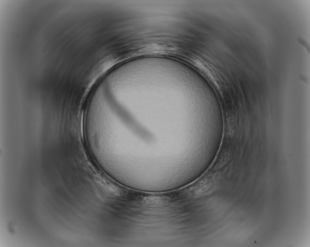 X0000096681227200802191345