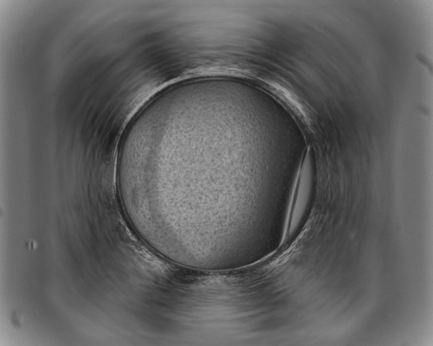 X0000096681228200802191345