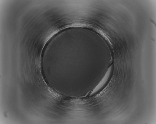 X0000096681229200802191345