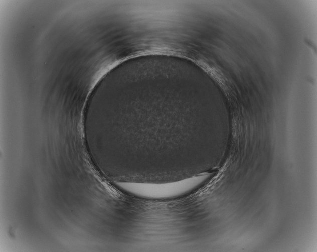 X0000096681230200802191345