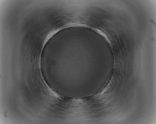 X0000096681231200802191345