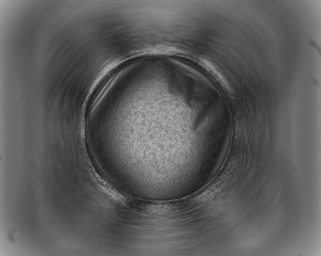 X0000096681232200802191345