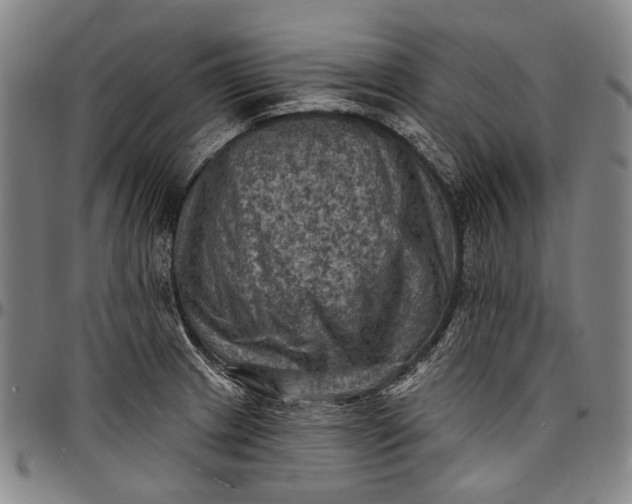 X0000096681233200802191345
