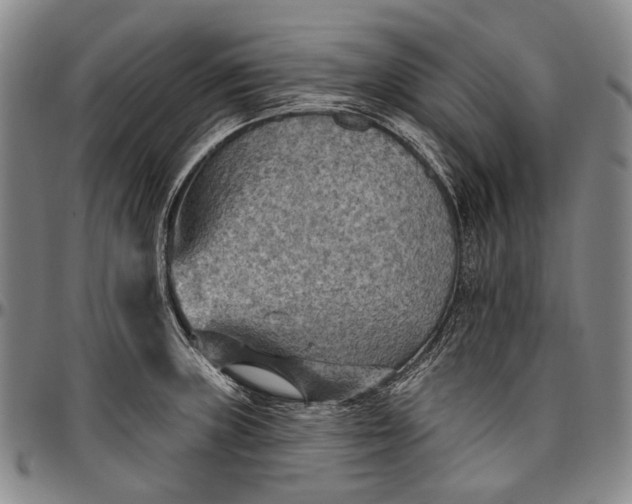 X0000096681235200802191345