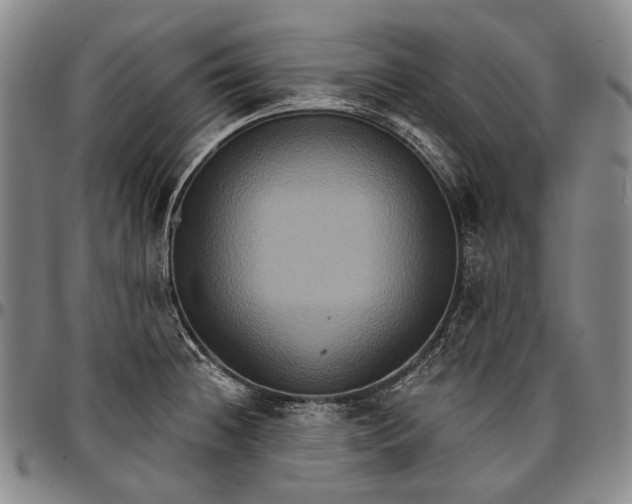 X0000096681236200802191345