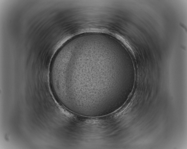 X0000096681237200802191345