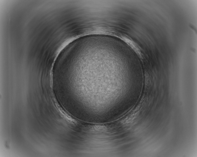 X0000096681238200802191345