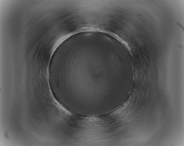 X0000096681239200802191345