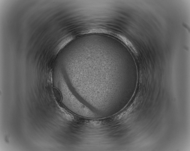 X0000096681241200802191345