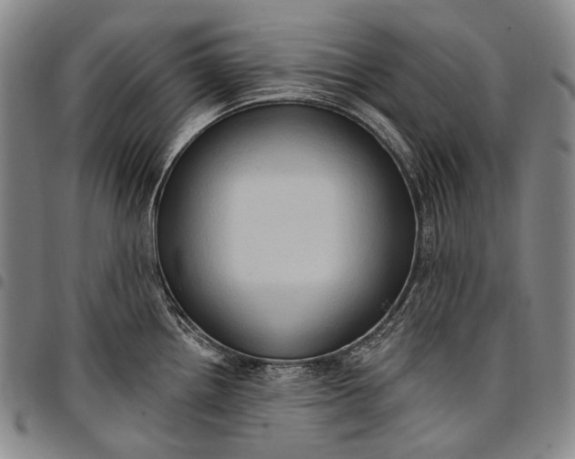 X0000096681242200802191345