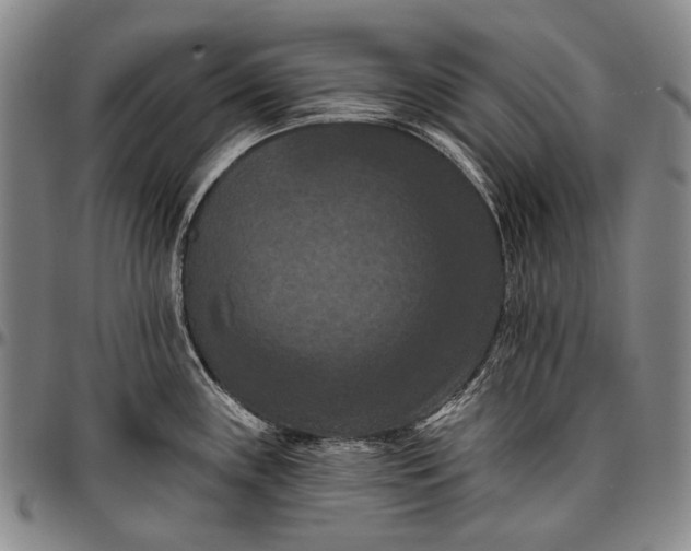 X0000096681243200802191345