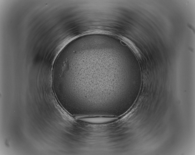 X0000096681244200802191345