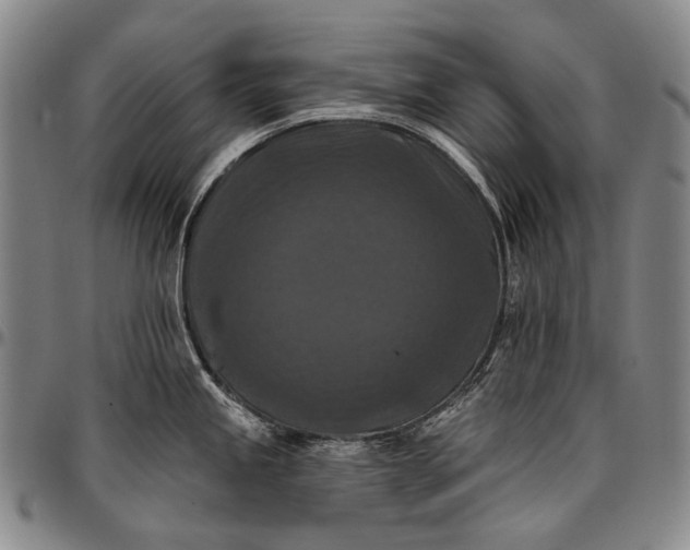 X0000096681245200802191345