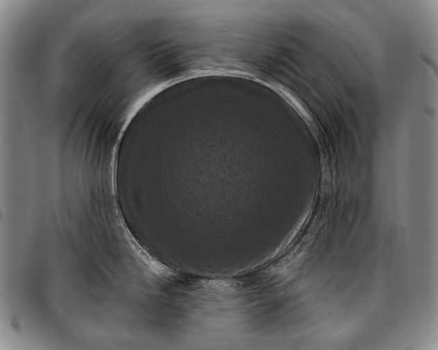 X0000096681246200802191345