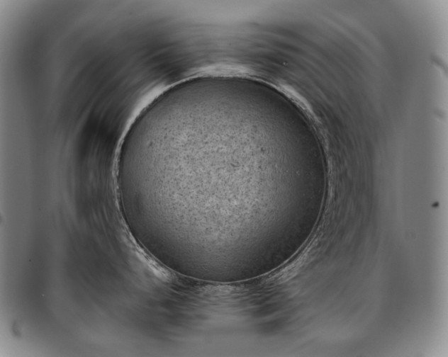 X0000096681248200802191345