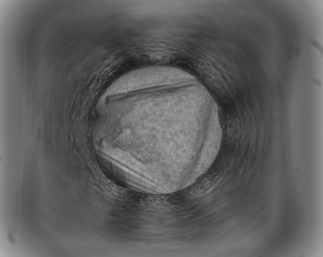 X0000096681249200802191344