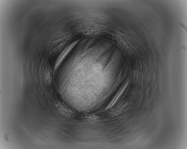 X0000096681250200802191344
