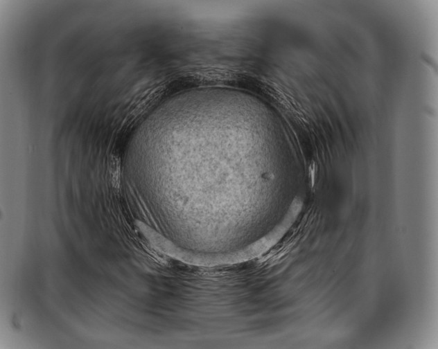 X0000096681251200802191344