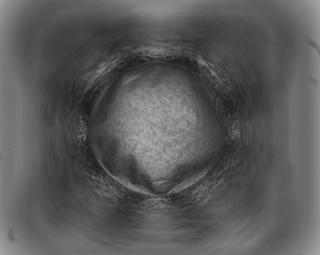X0000096681253200802191344