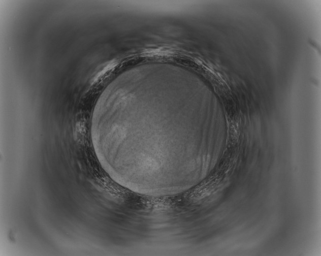 X0000096681254200802191344