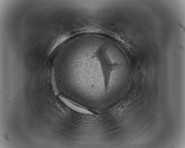 X0000096681255200802191344