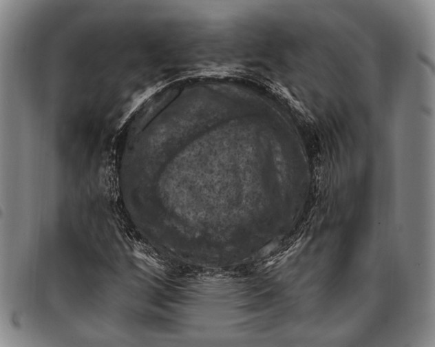 X0000096681256200802191344
