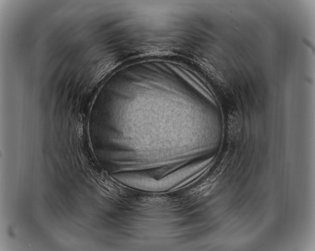 X0000096681257200802191344